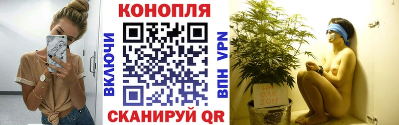 Шишки марихуана THC 21% мориарти как зайти Обоянь